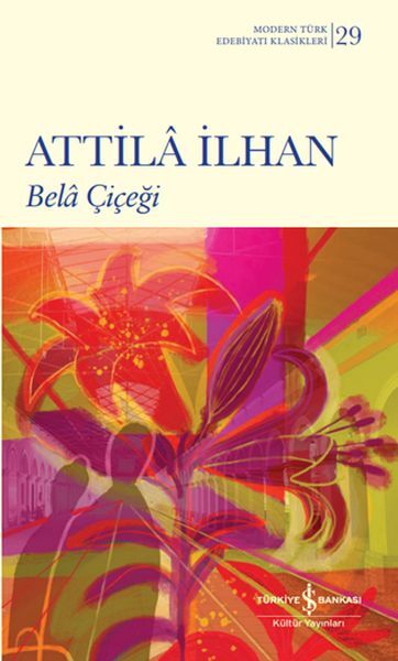 Bela Çiçeği (Şömizli)