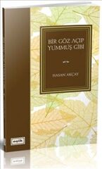 Bir Göz Açıp Yummuş Gibi
